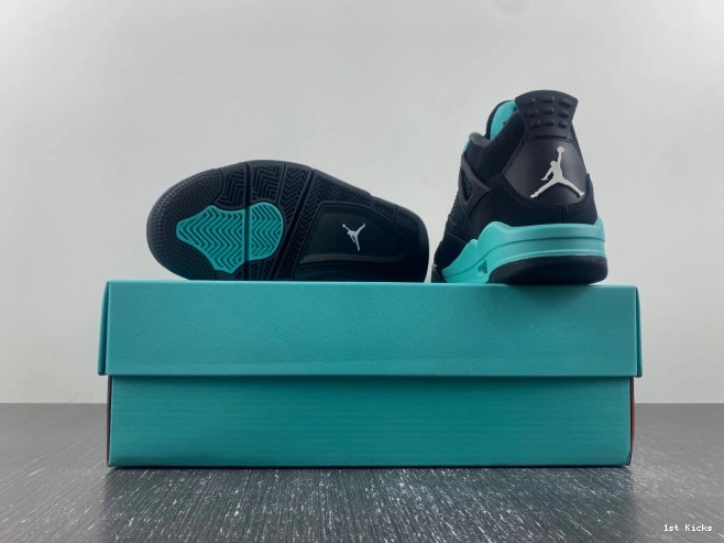 DH6927-001 Jordan 4 Air 0719